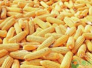 北京最“寒碜”火车站，等车只能蹲路边，本地人都不爱去