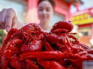 冯提莫正式回应“会计门”事件！网友：撒最扯的谎，吃最简单的饭