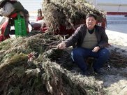 春运返程拦路虎！北方11省份今明有大面积降雪　南方阴雨一直下