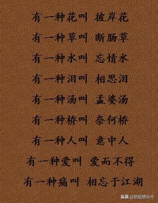 2018年抖音超火的10段情感语录,戳中你内心了