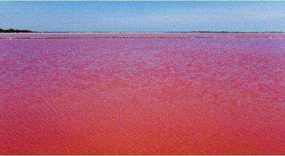 探秘伊拉克"血湖"真的有水怪吗?_【快资讯】