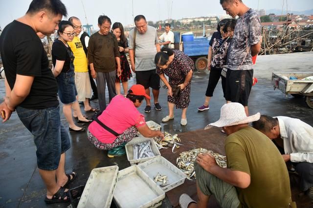 来海边没有你吃不起的海鲜，这种海鲜已经卖出白菜价