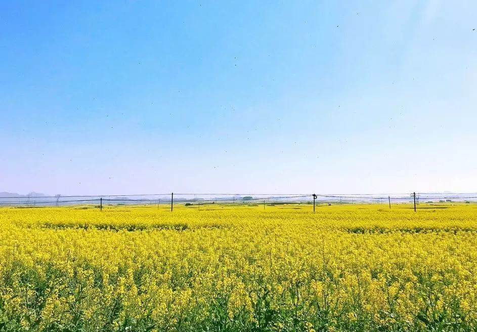 【每月在路上】三月,送你最in的赏花攻略,十大赏花胜地,愿你不