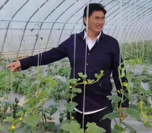 朱之文儿子眼光真毒！结婚3天竟不度蜜月，新娘跑去蔬菜棚学农活