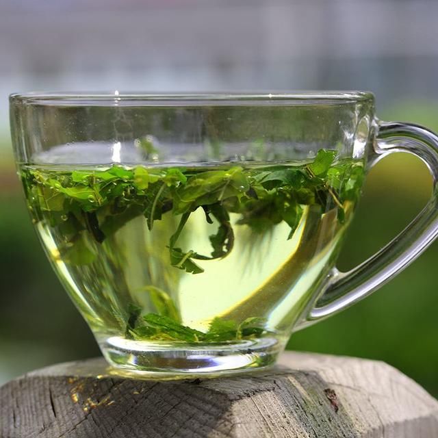 桑叶茶功效作用多,桑叶除了直接泡水喝还可以和什么搭配泡水喝?图片