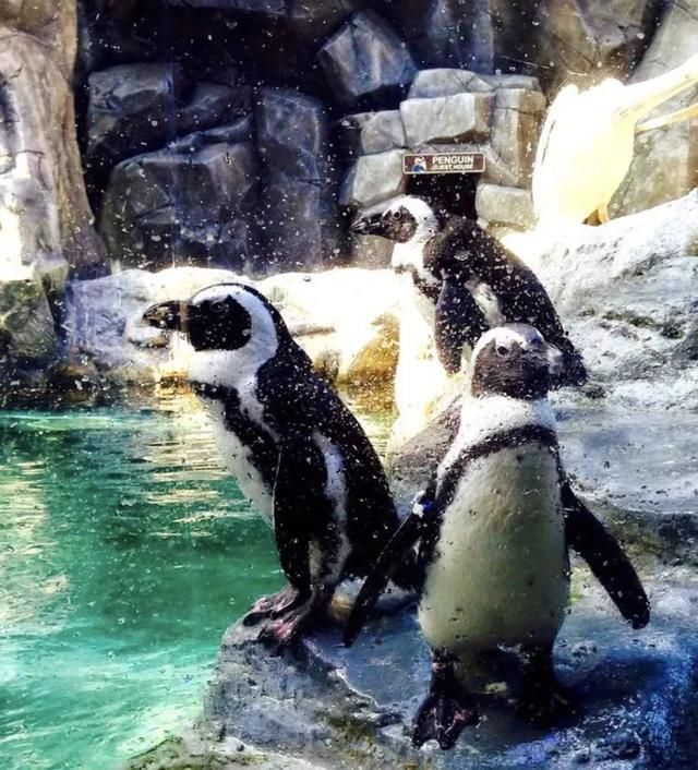 五一四天假期,济州岛高性价比亲子游推荐!