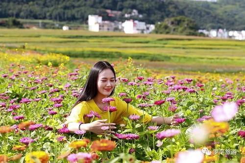 花姿海代运营,花姿海电商