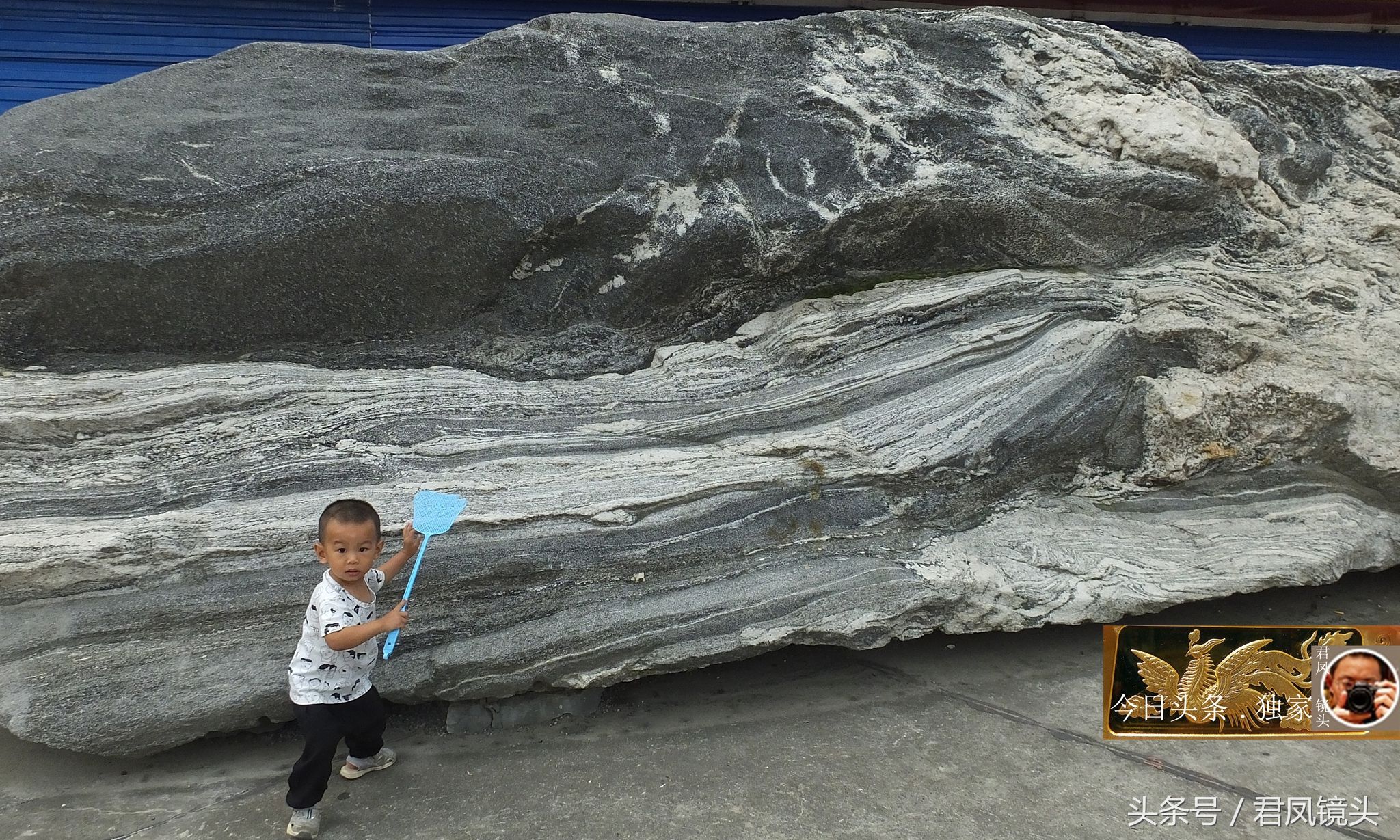 奇石摄影:园林景观石长相奇异!“大展宏图”售价580万元!