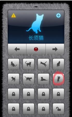 一男子在App Store下载了人猫交流器,结果给猫咪听完后,悲剧了
