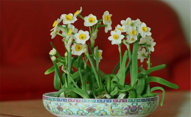 必来花是什么平台 t0101336dbceddcb5f7.jpg