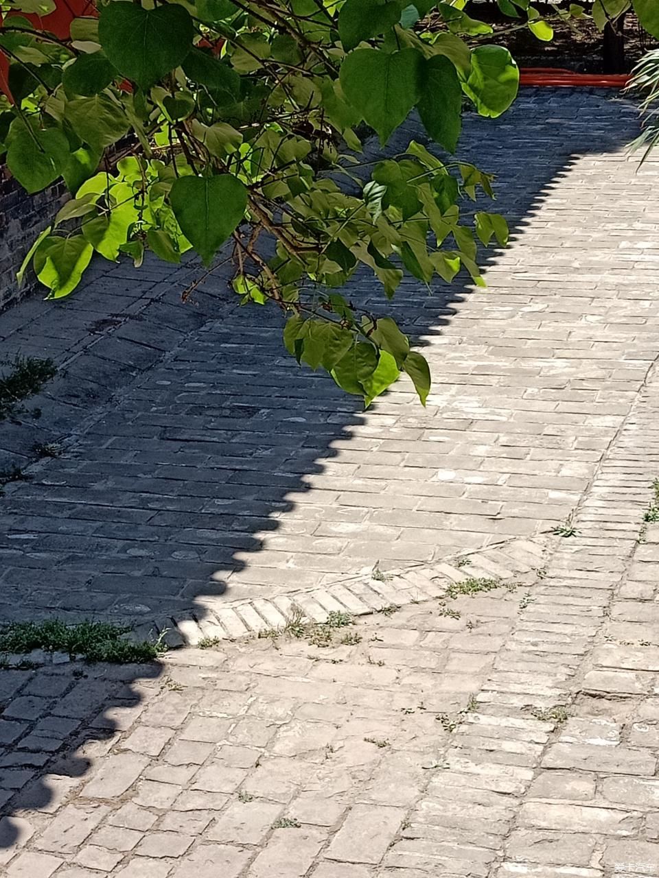 《春之彩》自驾西山启春阁