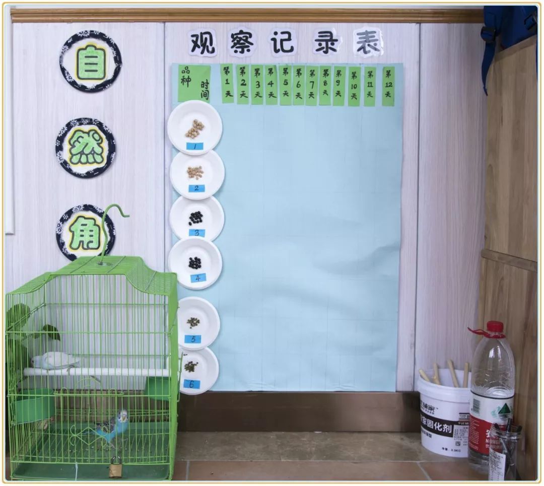 中班主题环境创设 - 我爱家乡