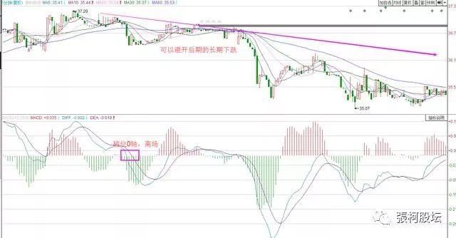 20年老股明的压箱底MACD选股战法，伏击强势股精准率惊人，让你获