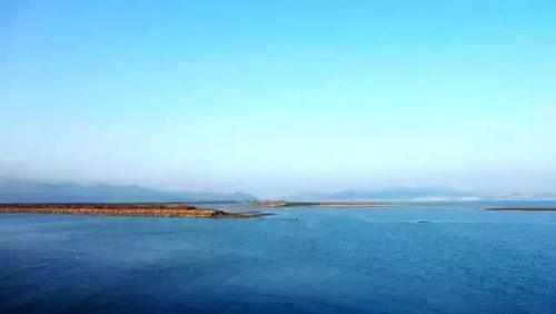 江门的这种鱼，被誉为“鱼类中的天才”！盛夏吃它正当时~丨寻味