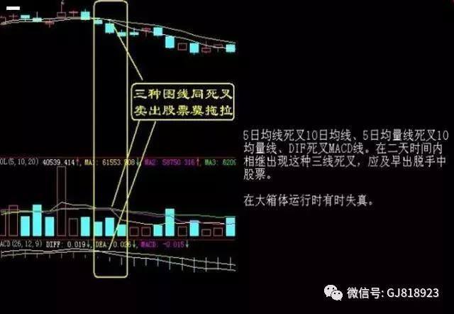 炒股高手纵横股市的选股五大原则，值得两亿股民拜读！