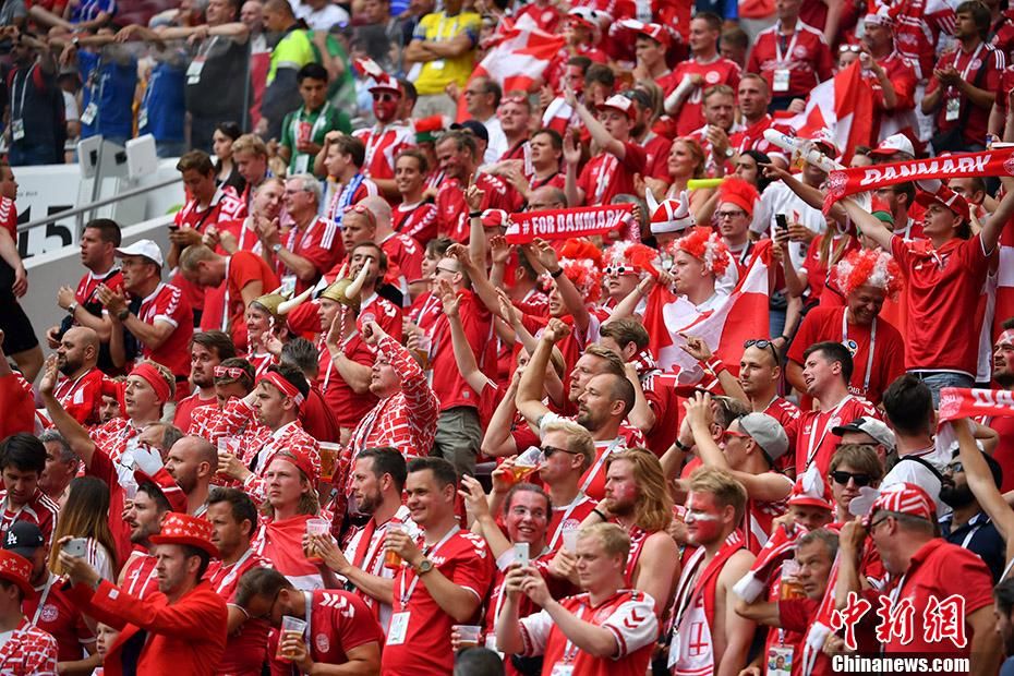 法国丹麦大赛将至 双方球迷看台造势