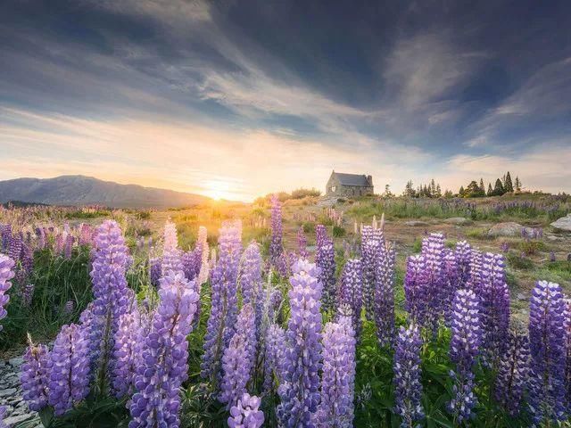 除了皇后镇，新西兰旅游还能玩什么?