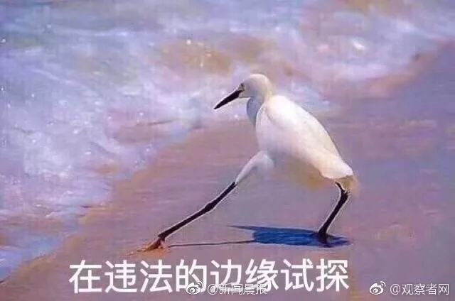 昨晚有人晒了一顿年夜饭,网友看了纷纷报警,执法部门连夜调查!