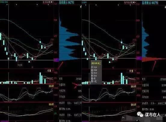 中国股市跟庄术精讲：筹码分布与跟庄关系理论图解 l 附公式