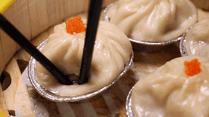 六月的西湖不仅有美景美食,还能邂逅\"最强大脑\"的TA