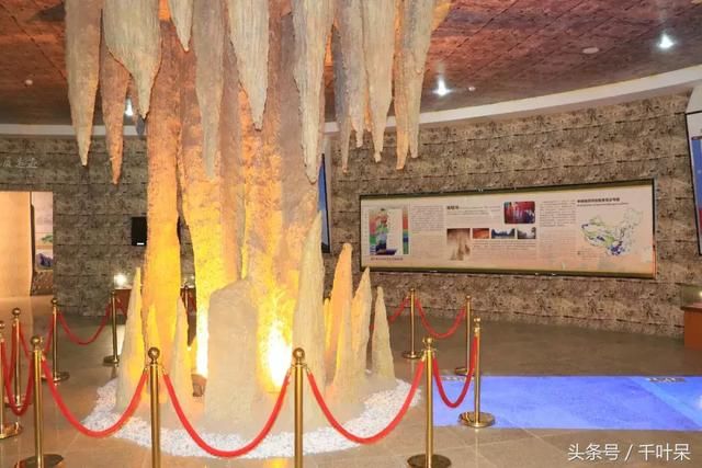 五一小长假，达州这个国家级地质博物馆将免费开放！