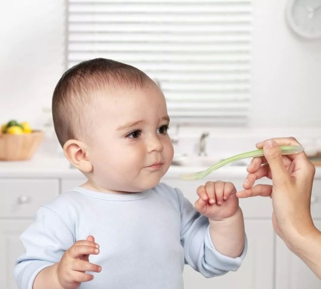 护照办理流程和费用