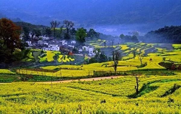 【每月在路上】三月,送你最in的赏花攻略,十大赏花胜地,愿你不