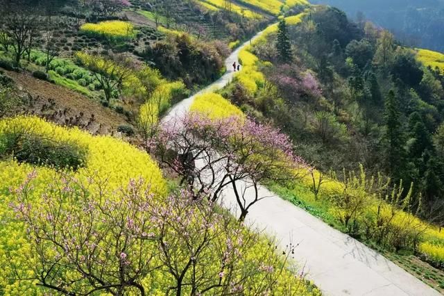 到了安徽只知道黄山就太可惜了，这个三月不可错过的人间天堂