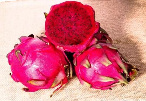 恭城朋友们,火龙果皮不要再扔了!没想到它居然