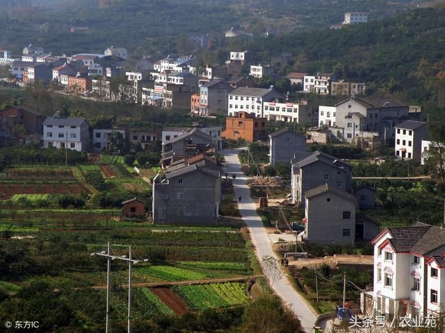 宅基地的重大好处你知道吗？