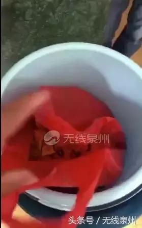 辟谣：北峰片区一男子手提蓝色桶诱骗小孩？警方说法来了！