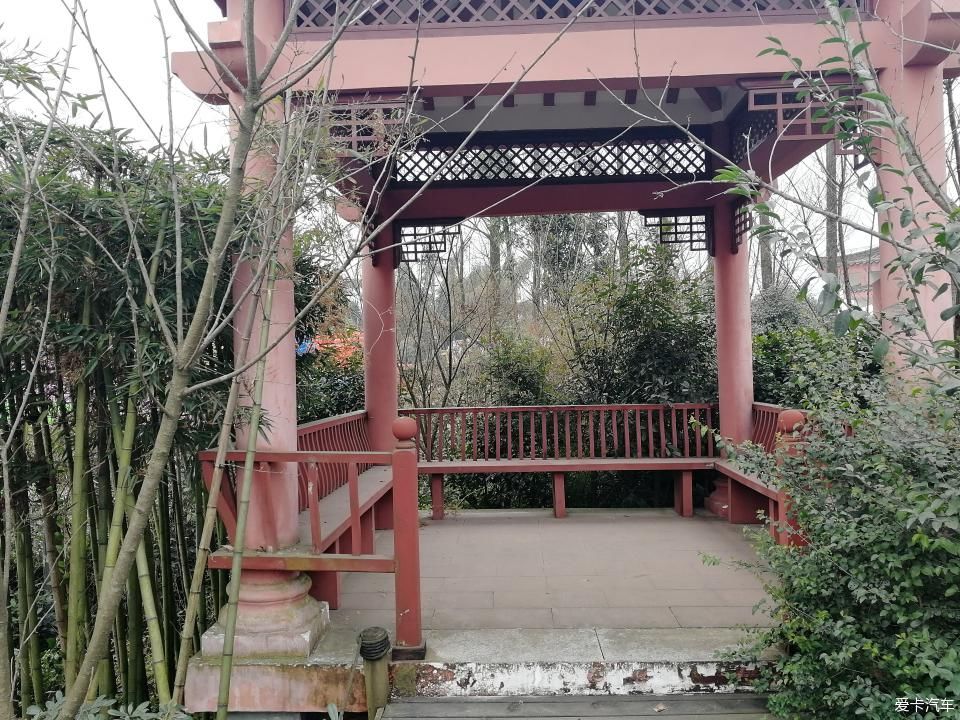 参观牛碾坪万亩观光茶