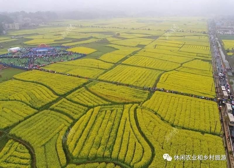 休闲农园销售农产品，设计一套会说话的体验活动才是前题！