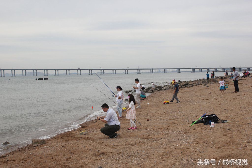 青岛胶州湾小螃蟹泛滥，赶海能抓好几百只回家油炸下酒爽歪歪