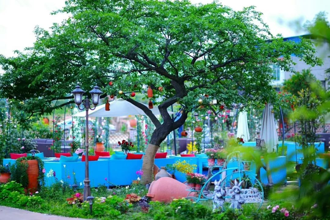 一对夫妻把青白江农家改造成“田园牧歌”，从此家有美景何必远方