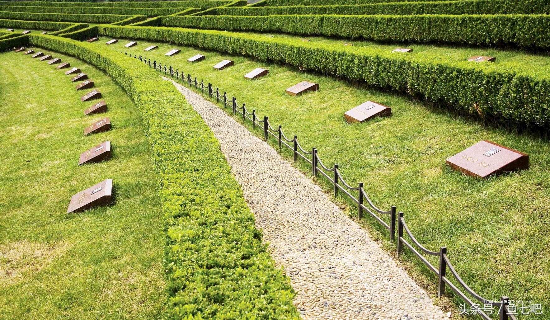 墓地价格又一轮飙升，网友:人还是好好活着吧，死都死不起了