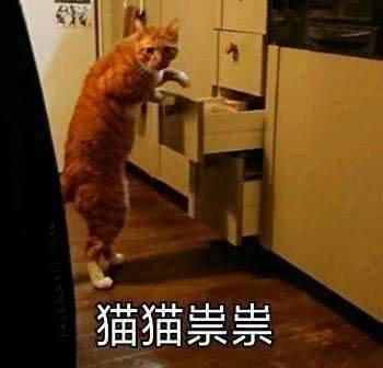 笑表情不偿命的死人,胖虎算,用它通知女v表情搞笑图片图片