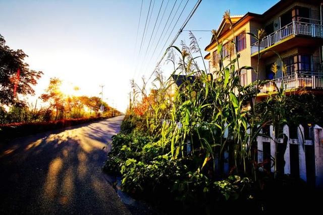 崇明岛经济总量_崇明岛地图