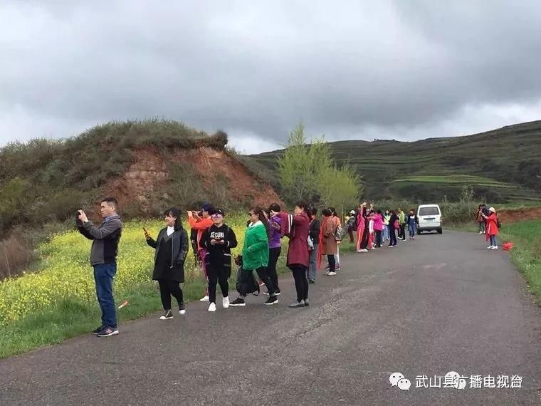 “五一”期间 武山旅游热度再创新高