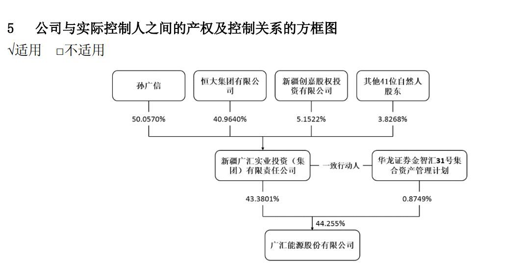 广汇能源:2018年年度董事会经营评述(附年度报