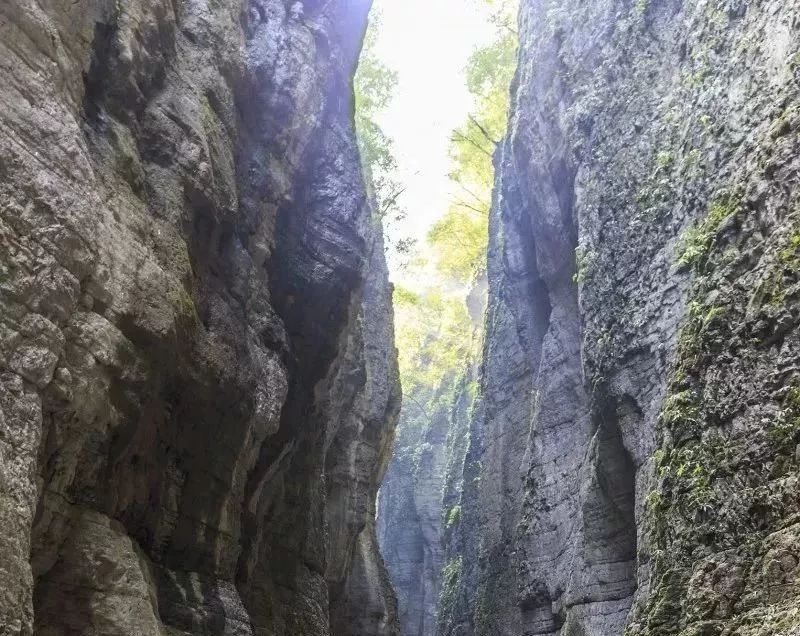 重庆这几个区县又要修铁路啦!快看看经过你家乡吗