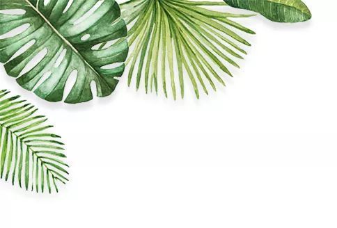 首开物业开展绿化整治工作,美化小区环境,提升