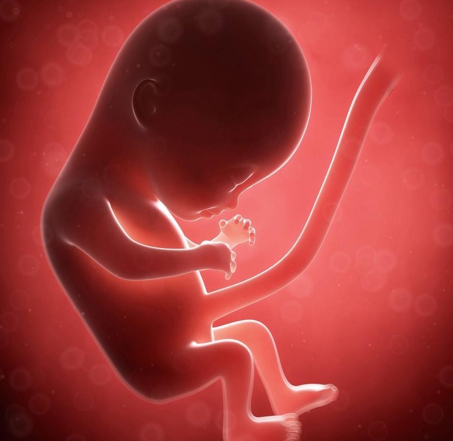 导致胎儿缺氧的三个原因,准妈妈一定不可大意