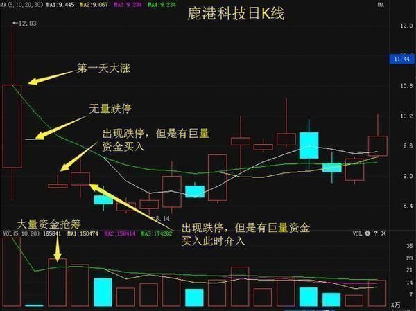 中国股市最赚钱的指标公式，终于摸清了庄家操盘套路