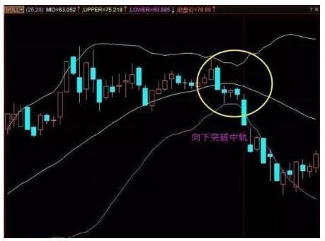 一个故事告诉你：牢记这一个指标，炒股一辈子不会输