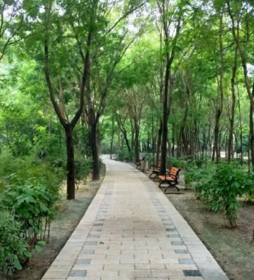 来兰州植物园，享受绿水春光带来的舒适感