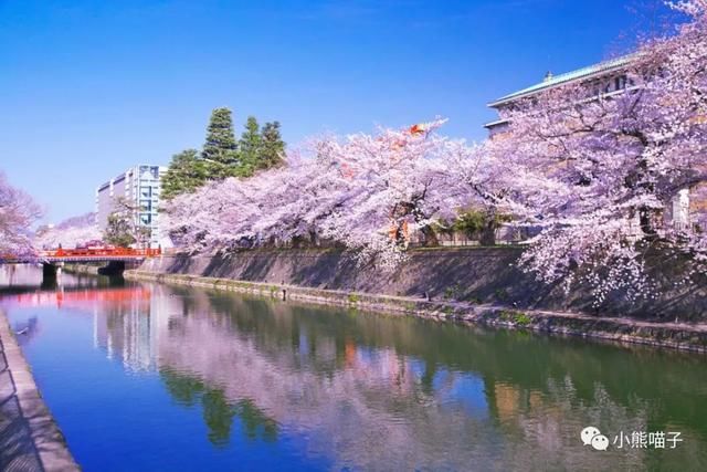 还在烦恼去哪看樱花?你绝对不可错过的9大赏樱圣地!