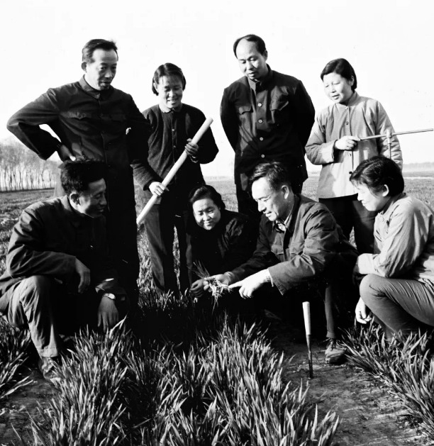 农业在科技的发展