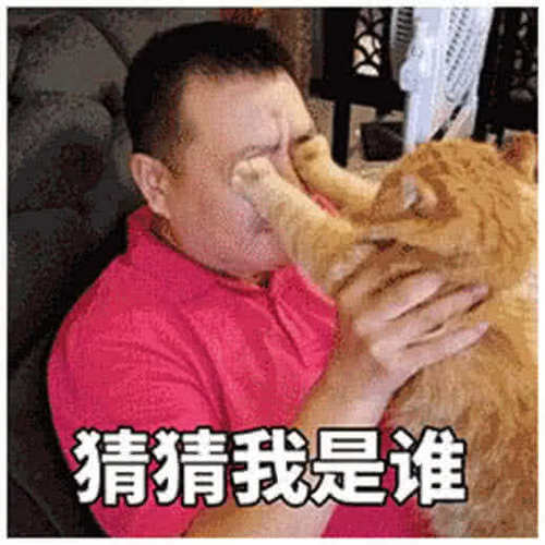 软萌情侣表情甜腻:次饭饭中,勿扰。别的怎么我你表情包接来不图片