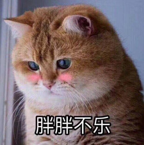 跟高冷男生没话说?万错过别兄弟,女生:暴权律二nice表情表情包图片